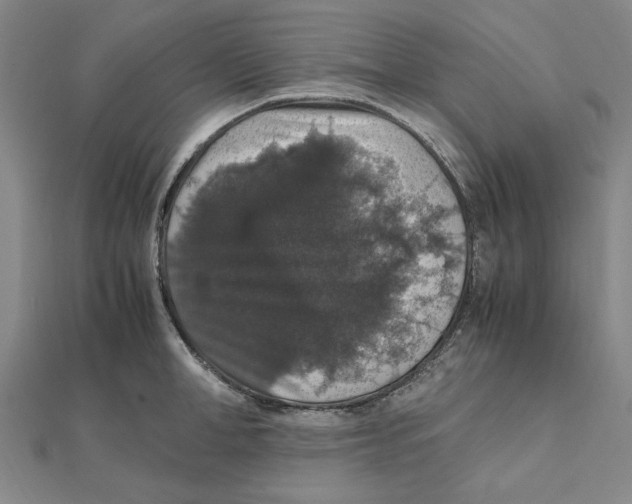X0000112110998200909011142