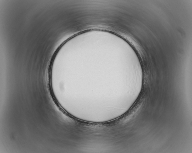 X0000112110999200909011142