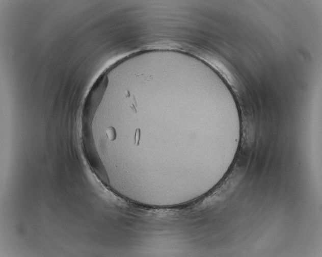 X0000112111000200909011142