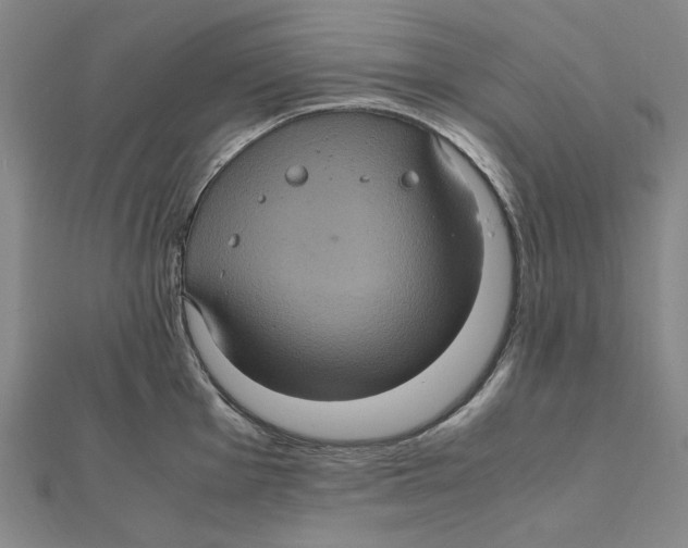 X0000112111001200909011142
