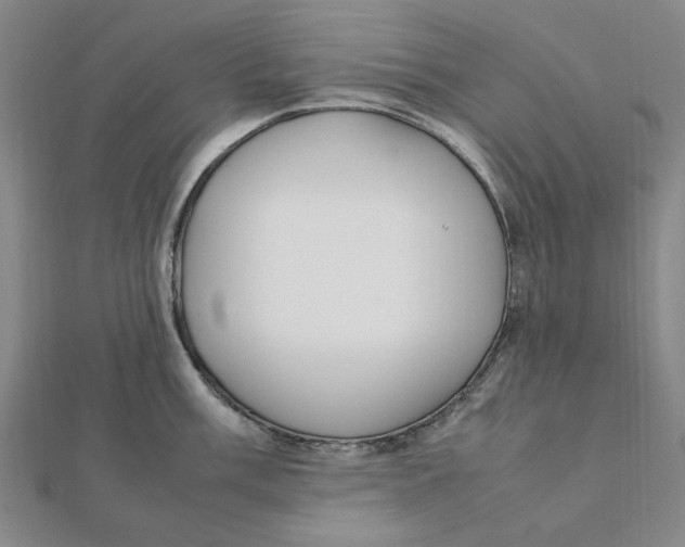 X0000112111003200909011142