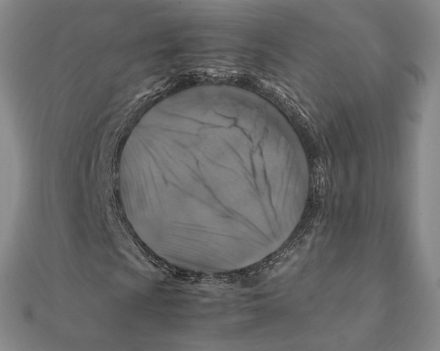 X0000112111009200909011141