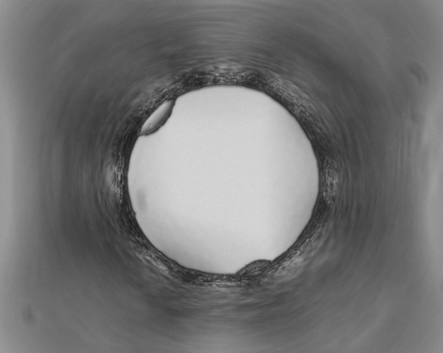 X0000112111010200909011141