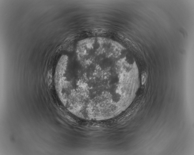 X0000112111011200909011141