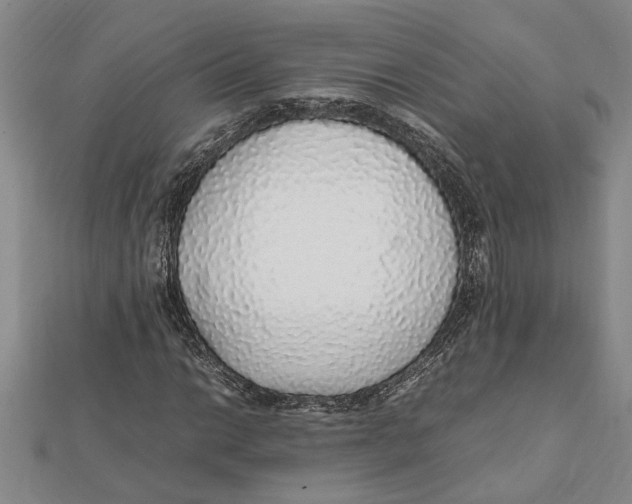 X0000112111014200909011141