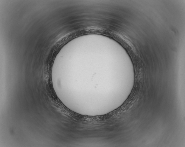 X0000112111015200909011141