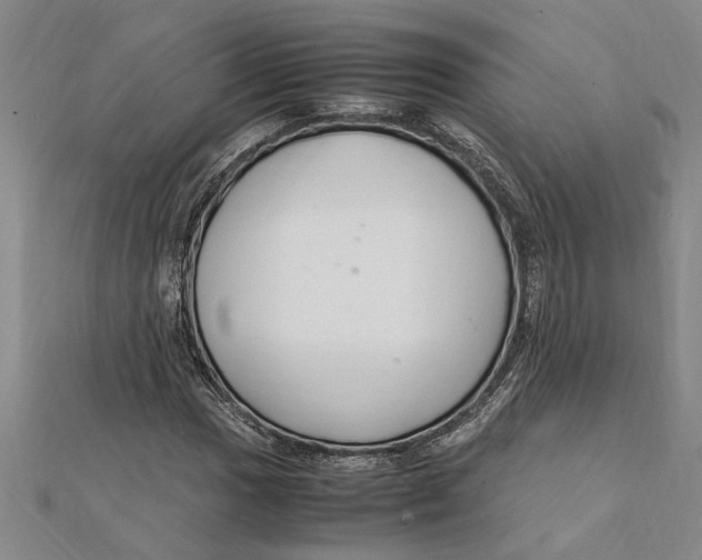X0000112111017200909011141