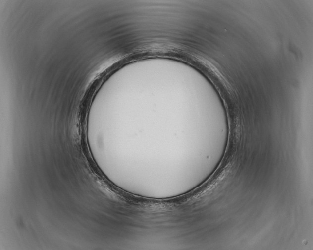 X0000112111018200909011141
