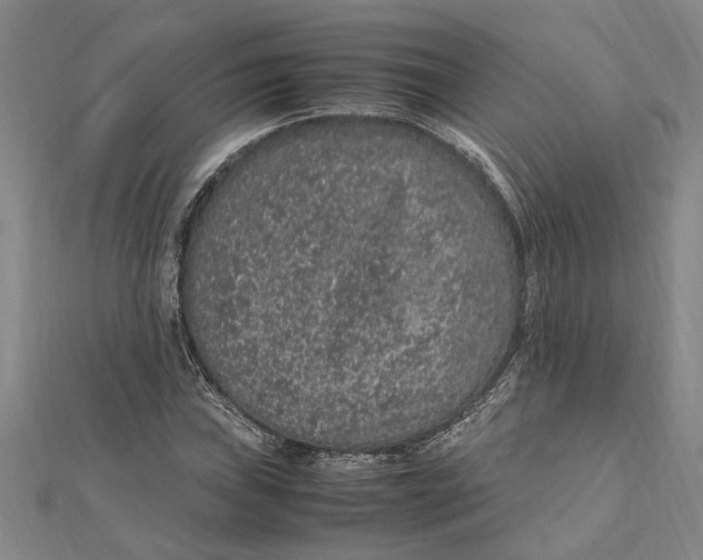 X0000112111019200909011141
