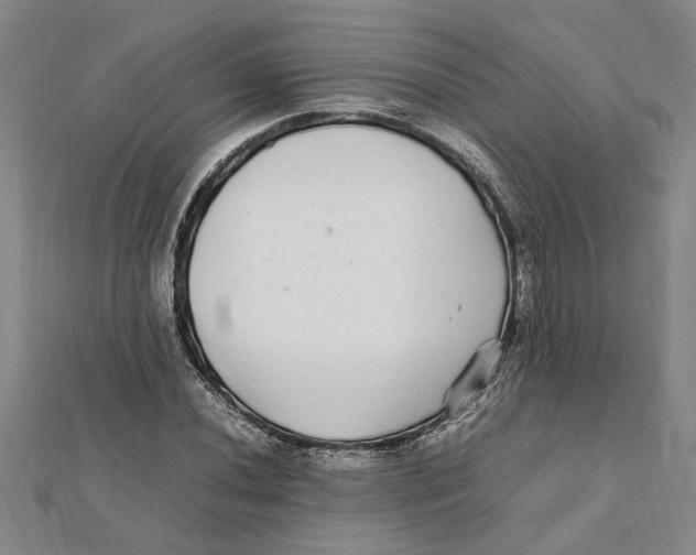 X0000112111020200909011141