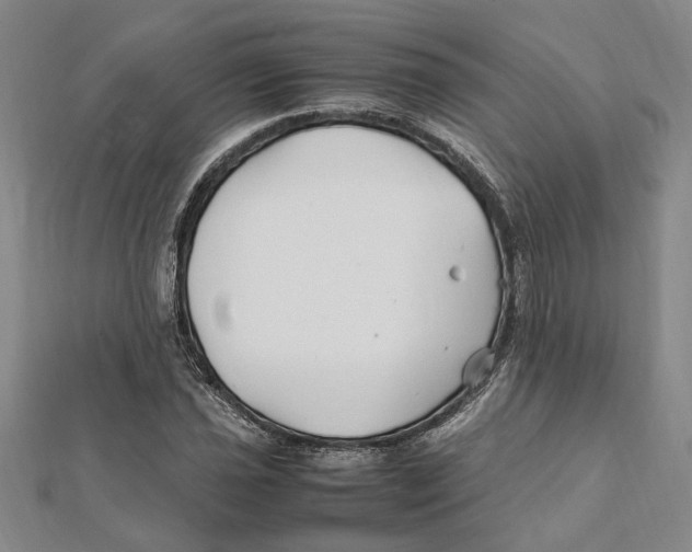X0000112111021200909011141