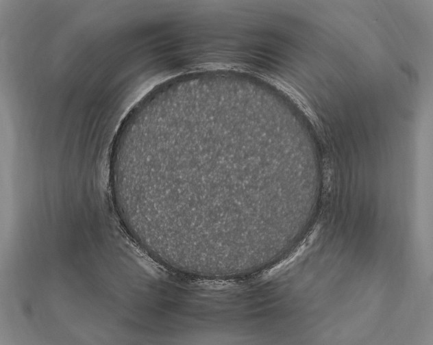 X0000112111023200909011141