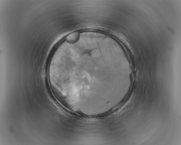 X0000112111024200909011141