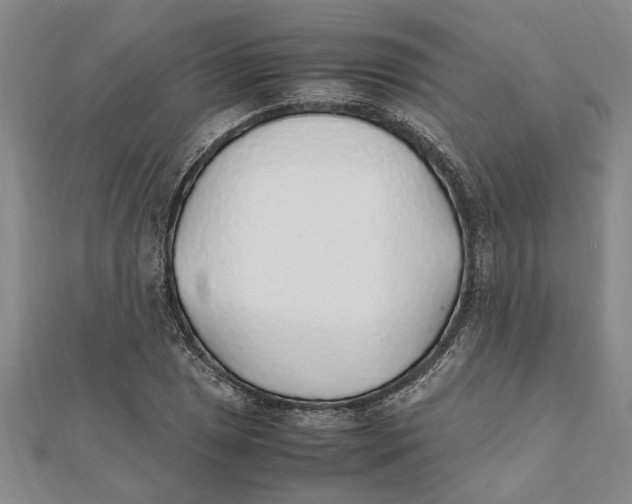 X0000112111025200909011141