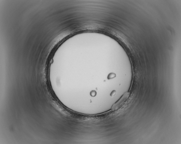 X0000112111026200909011141