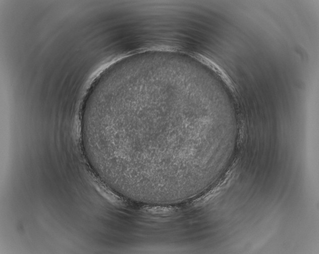 X0000112111027200909011141