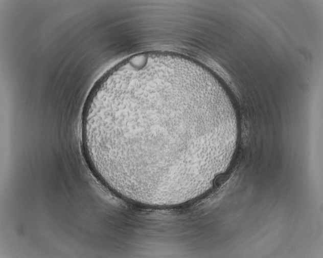 X0000112111028200909011141