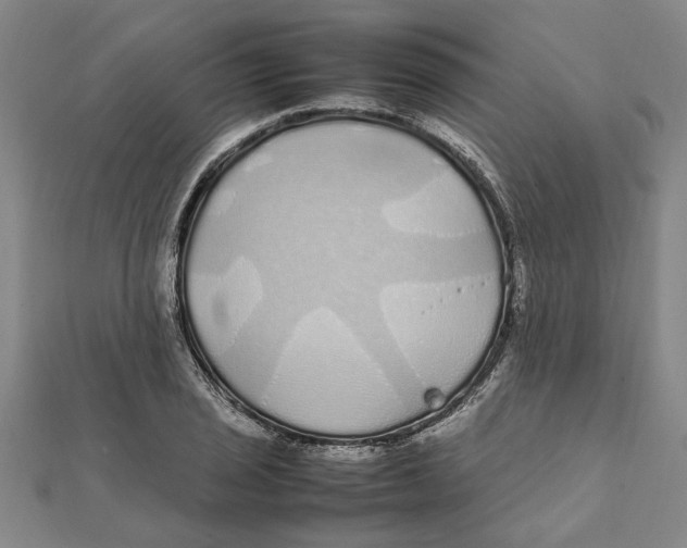 X0000112111029200909011141