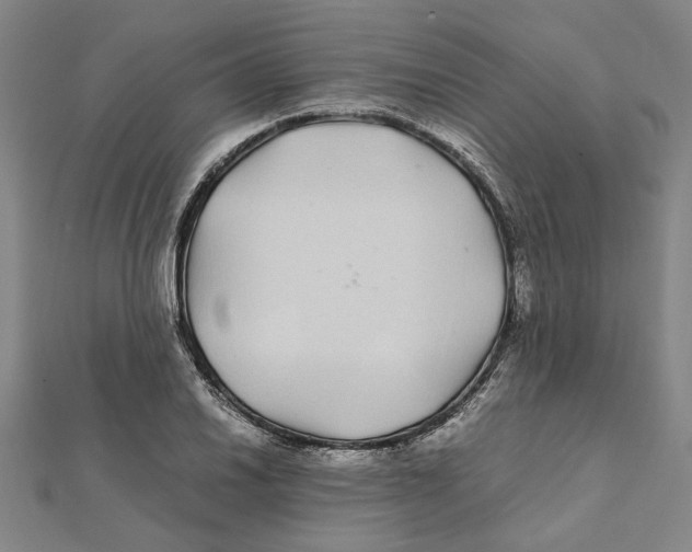 X0000112111030200909011141