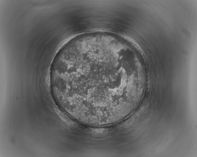 X0000112111031200909011141
