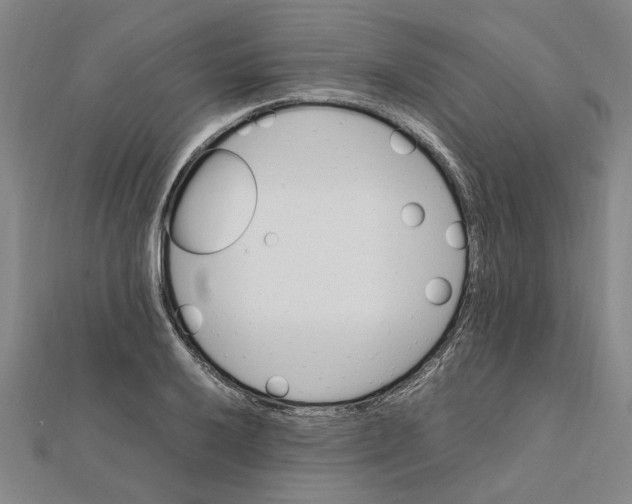 X0000112111032200909011141