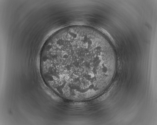 X0000112111035200909011141
