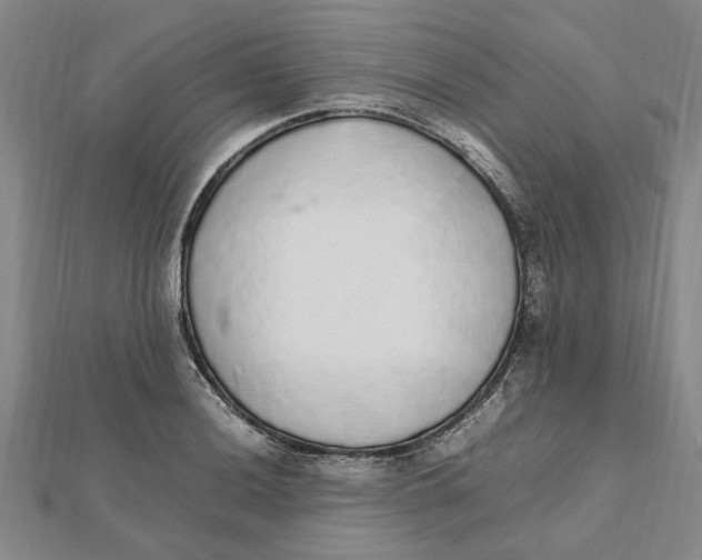 X0000112111036200909011141