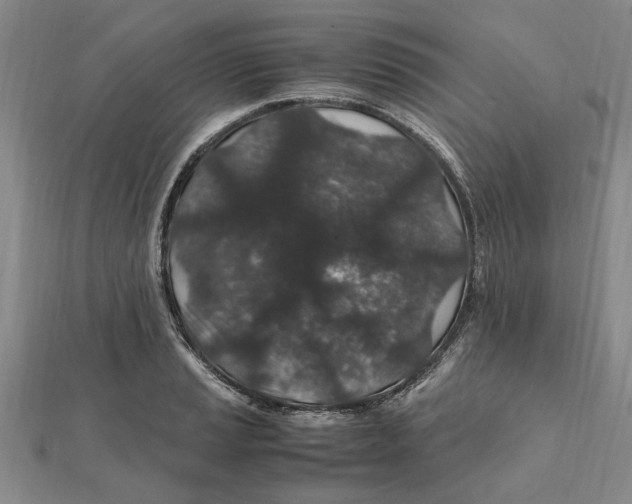 X0000112111037200909011141