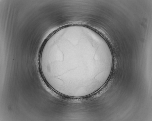 X0000112111038200909011141