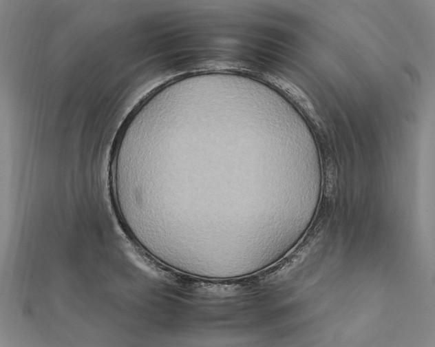X0000112111039200909011142