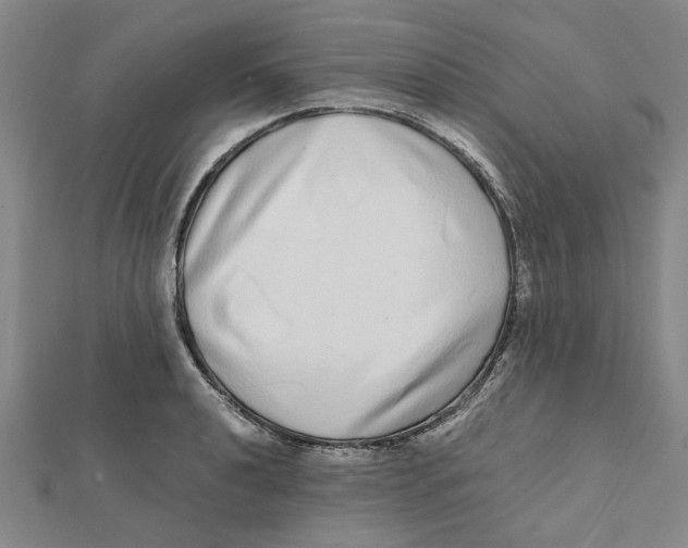 X0000112111040200909011142