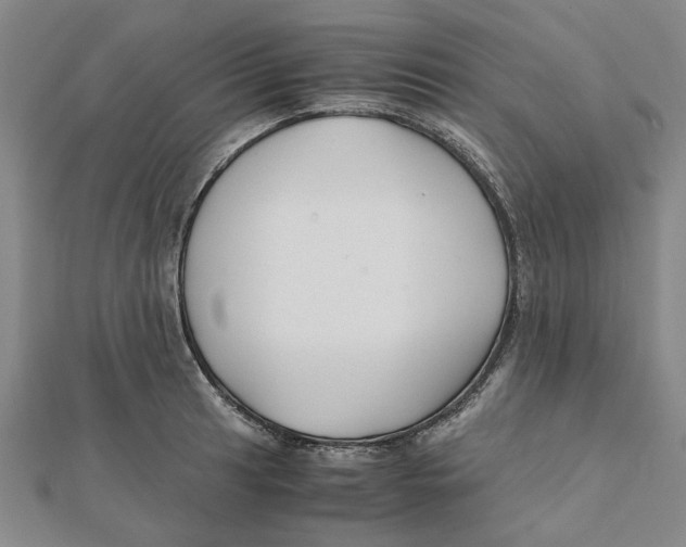 X0000112111041200909011142