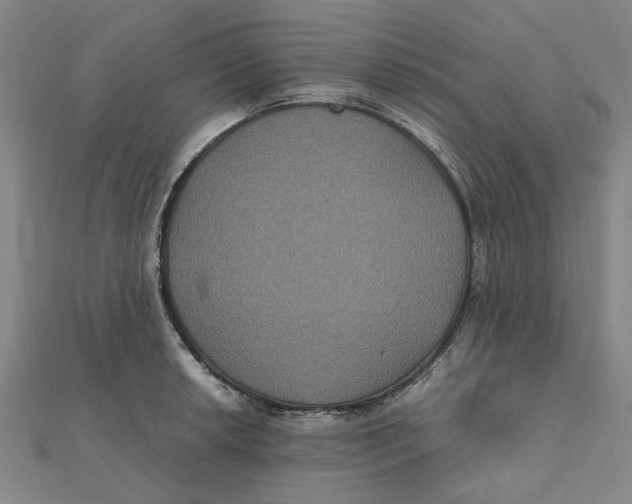X0000112111042200909011142
