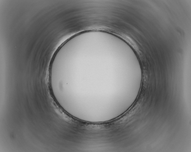 X0000112111044200909011142