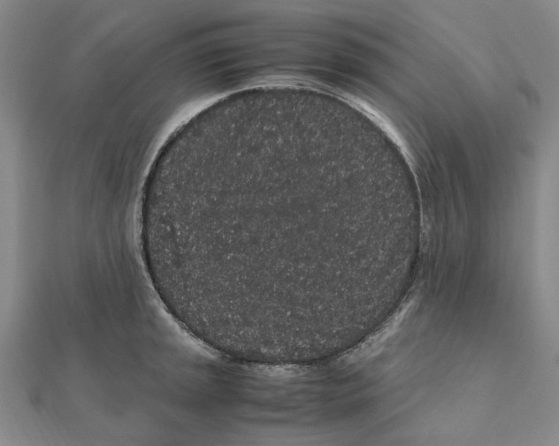 X0000112111045200909011142