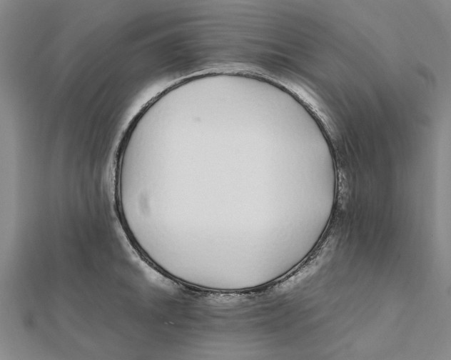 X0000112111046200909011142