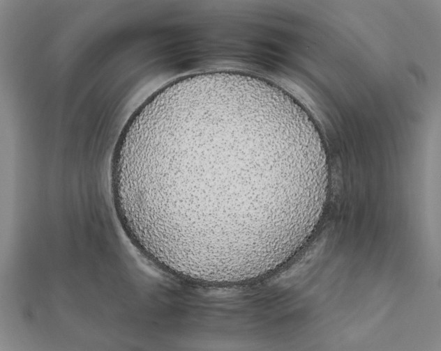 X0000112111047200909011142