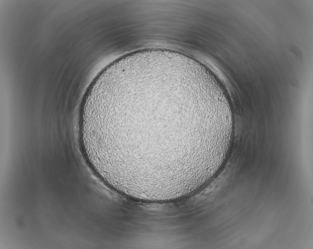 X0000112111048200909011142