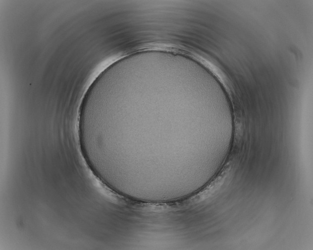 X0000112111050200909011142