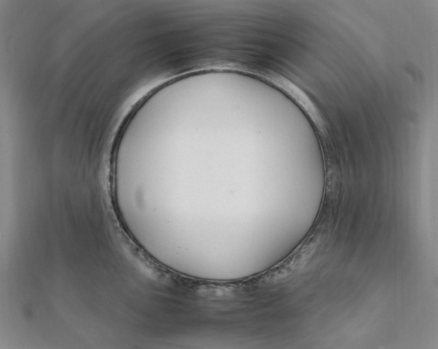 X0000112111051200909011142