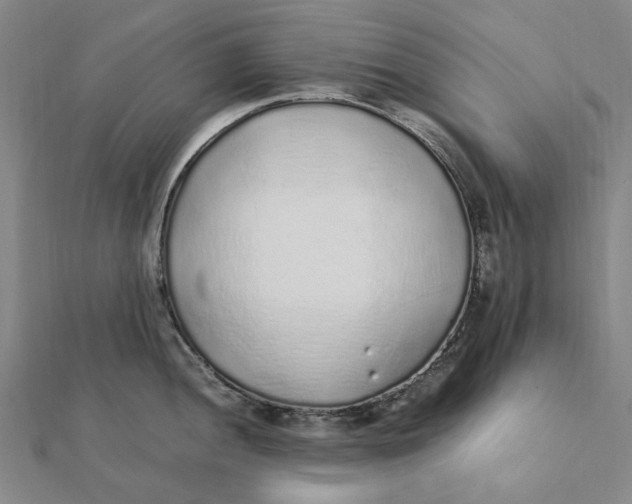 X0000112111052200909011142