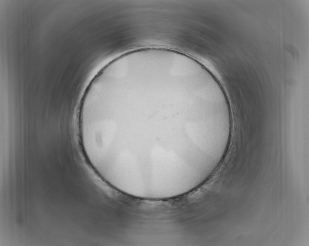 X0000112111056200909011142