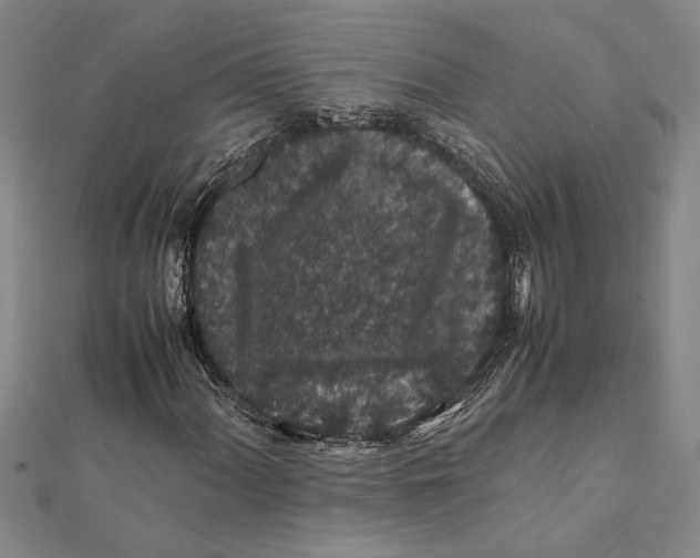 X0000112111060200909011141