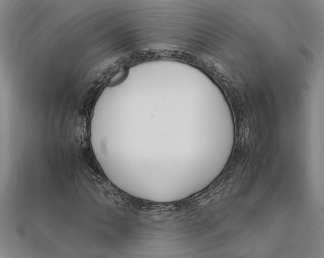 X0000112111062200909011141