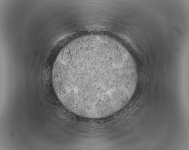 X0000112111063200909011141