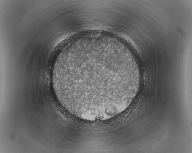 X0000112111064200909011141