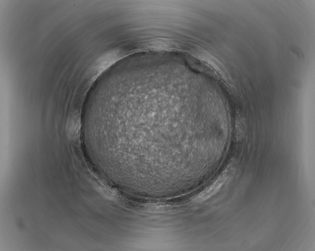 X0000112111065200909011141