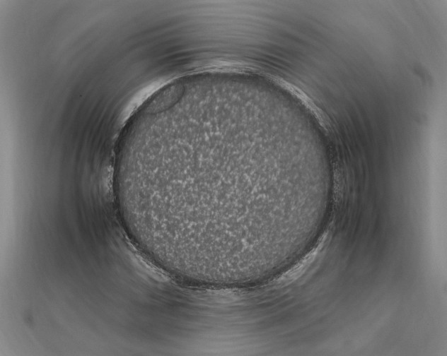 X0000112111066200909011141
