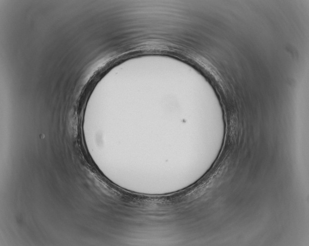 X0000112111067200909011141