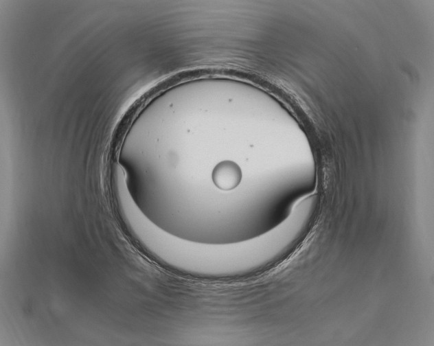 X0000112111069200909011141